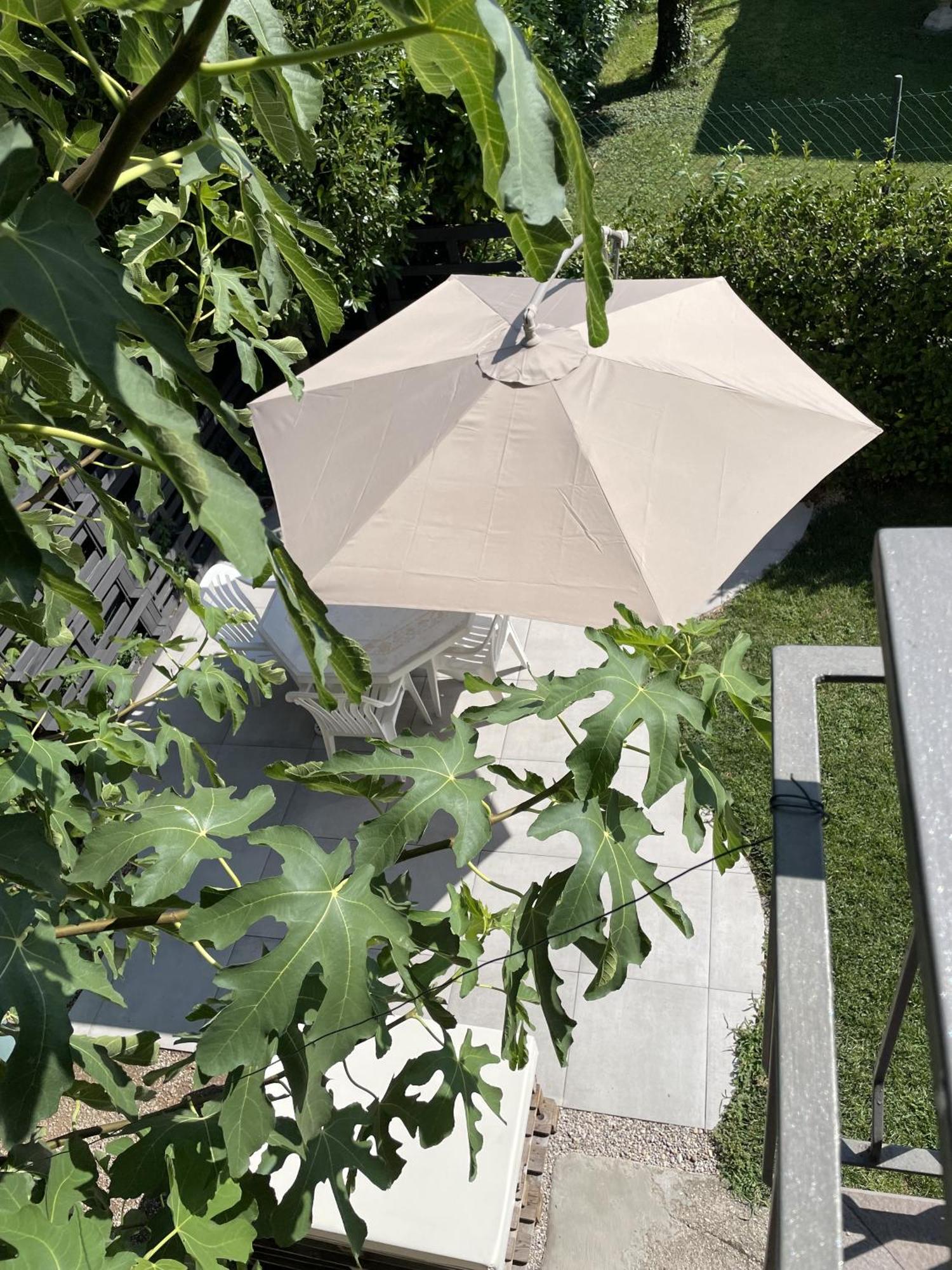 Casa Sivori Sul Lago Di Garda Con Ampio Giardino Дезенцано-дель-Гарда Экстерьер фото